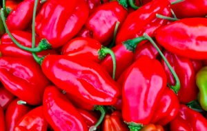 What's The Difference Between Pepper And Chilli? - Zamnesia