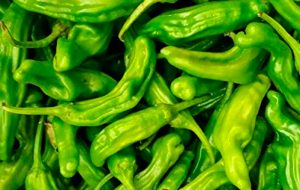 piment vert ou piment fort double-x. numex ou nouveau type de pod