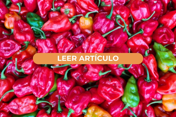 Beneficios afrodisiacos del picante