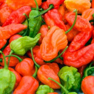 Los 10 chiles más picantes del mundo